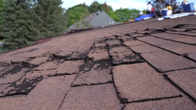 Best 4 Ply Roofing  in Asheboro, NC